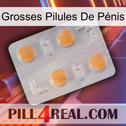 Grosses Pilules De Pénis 24